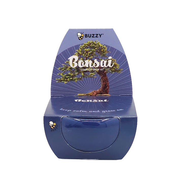 buzzy seeds bonsai tree Bonsai Tree Grow Kit