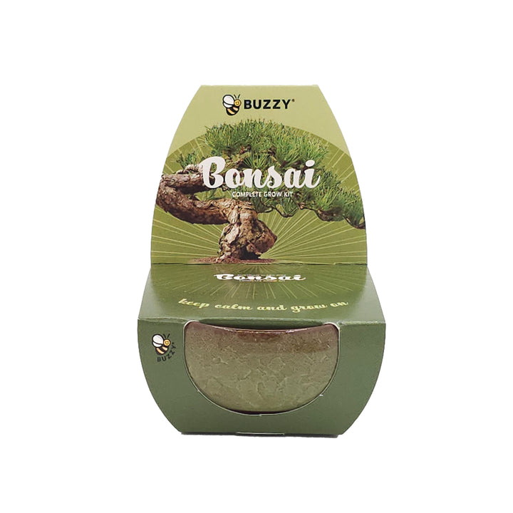Bonsai Tree Grow Kit 4-Pack