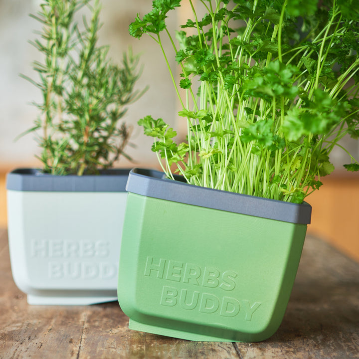 best cheap plant pots Self-Watering Herb Planters | Indoor Herb Garden (3 Pack)