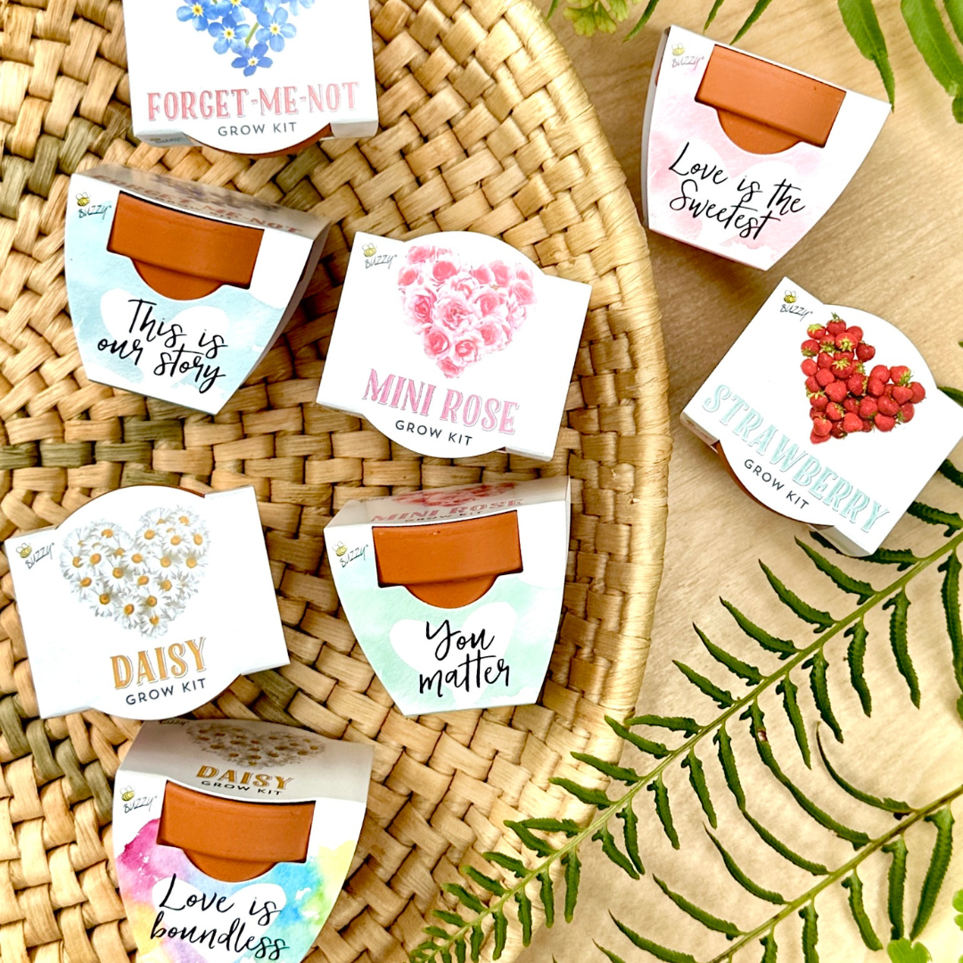 Love Mini Terracotta Grow Pots | Assorted 12-pack