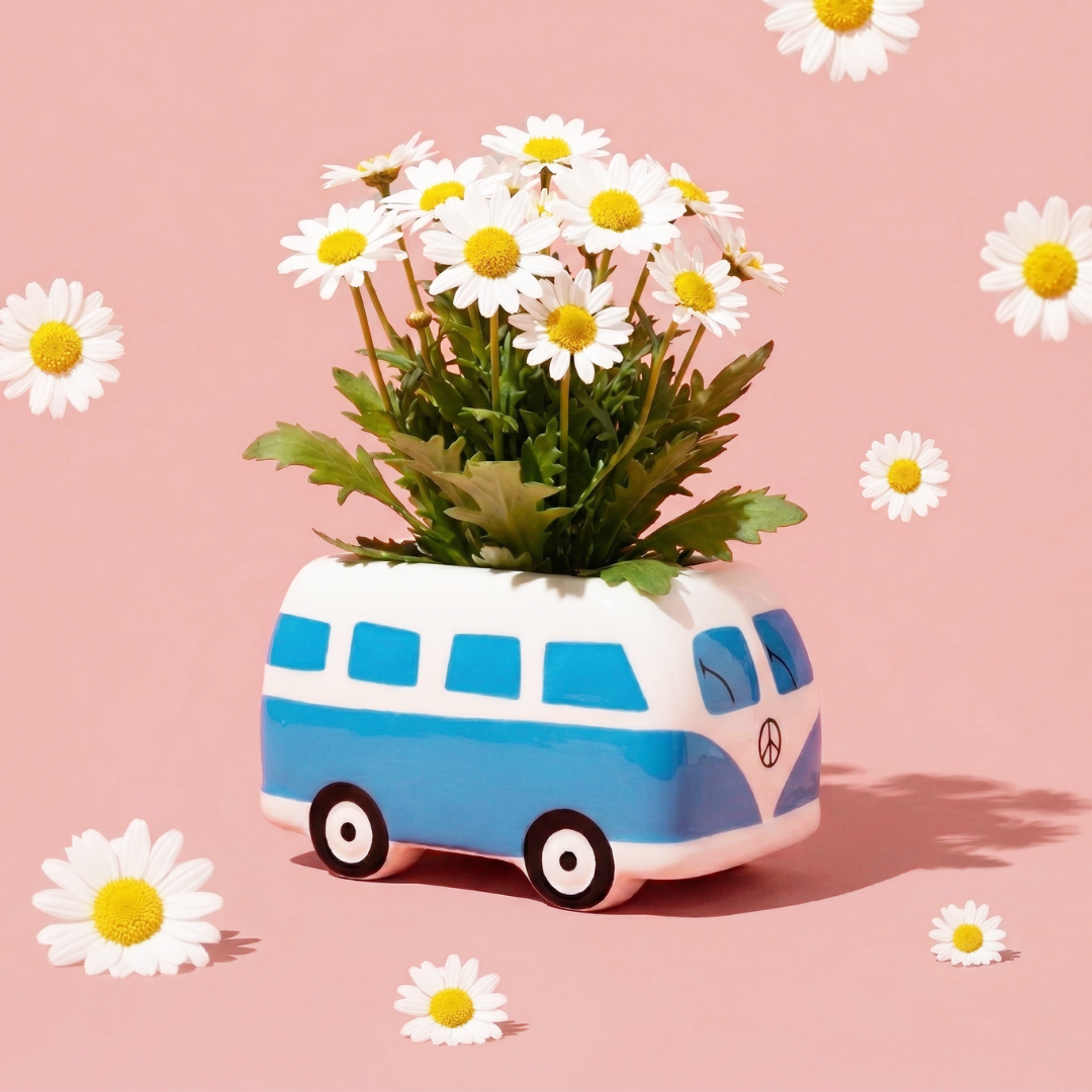 Ceramic Hippie Bus Flower Grow Kit Set – Buzzy Seeds