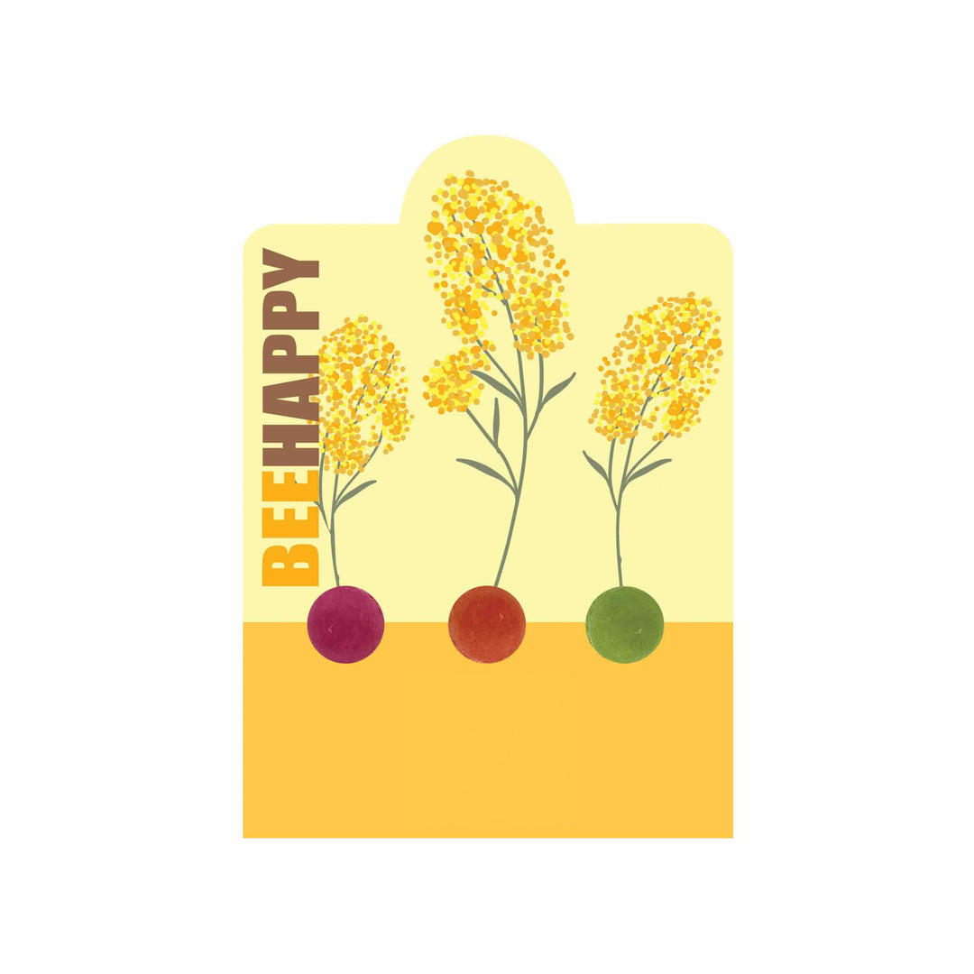 🎁 'Bee Happy' Wildflower Seed Balls | Pollinator Flower Mix (3 Count) (100% off)