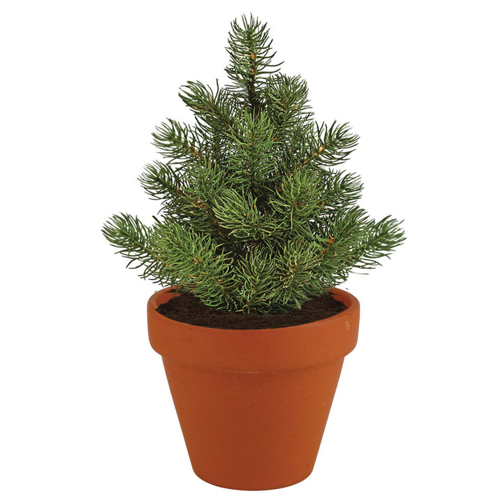 Holiday Santa Terracotta Grow Kit | Spruce 4 pack, Mini Evergreen Trees