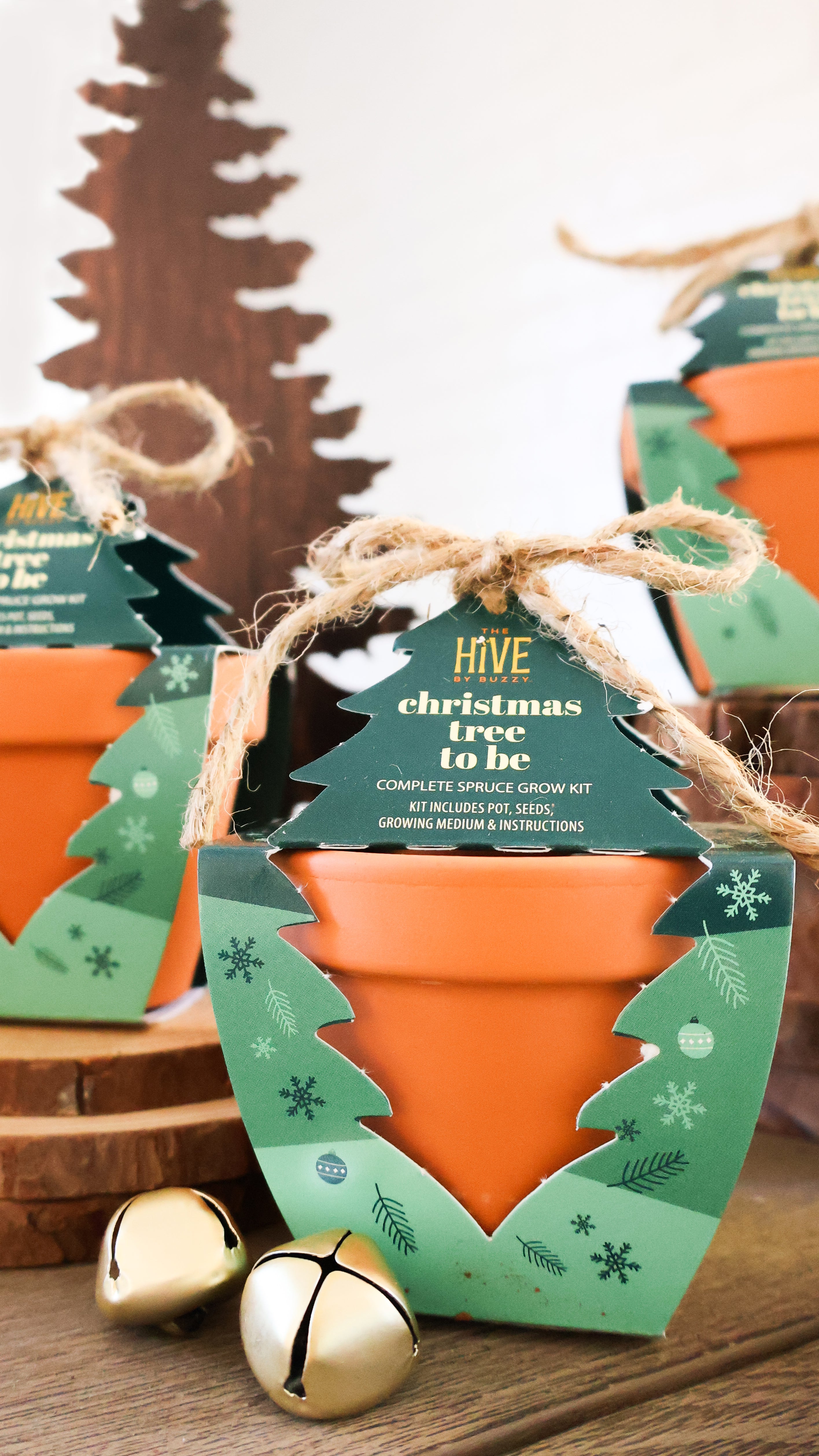 Buzzy Seeds: All-in-one Grow Kits For Every Occasion