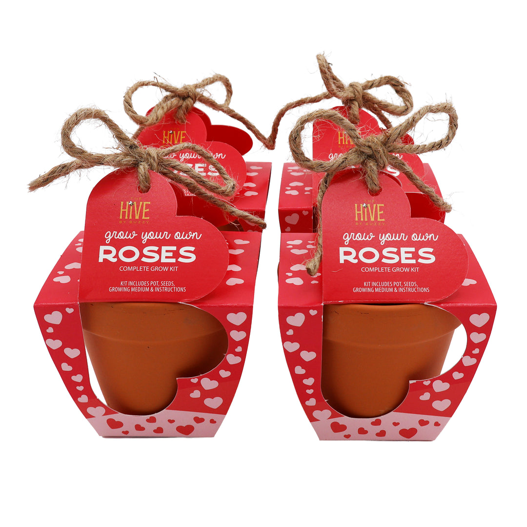 Mini Rose Heart Terracotta Grow Kit 4-Pack | Rosa chinensis 'Angel Wings'