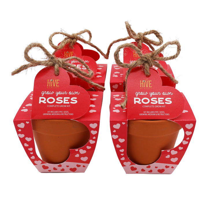 Mini Rose Heart Terracotta Grow Kit 4-Pack | Rosa chinensis 'Angel Wings'