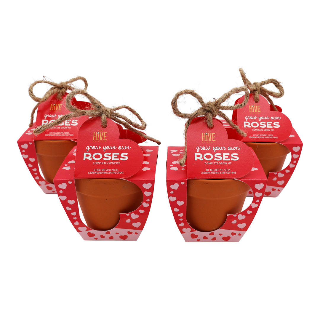 Mini Rose Heart Terracotta Grow Kit 4-Pack | Rosa chinensis 'Angel Wings'