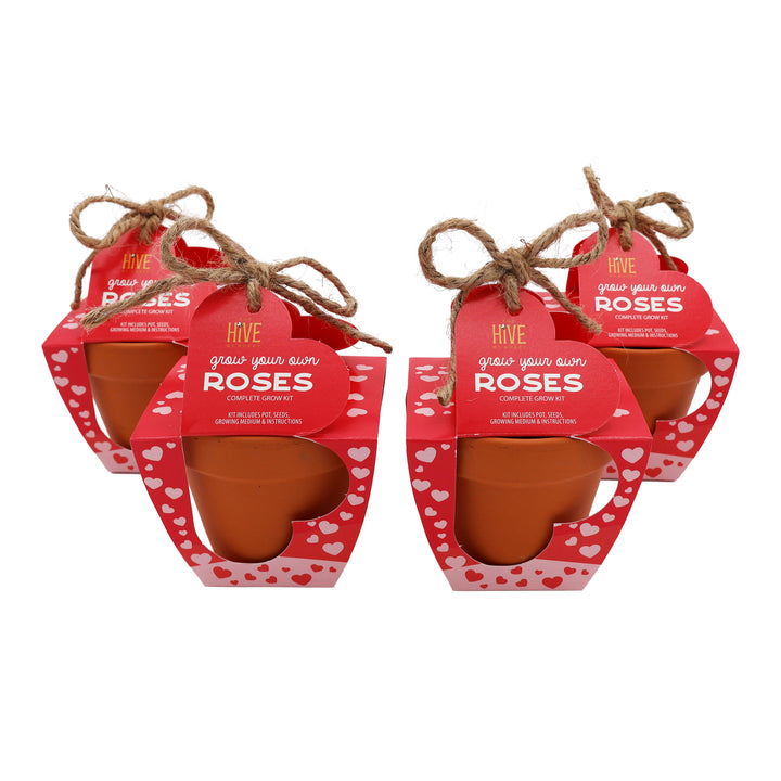 Mini Rose Heart Terracotta Grow Kit 4-Pack | Rosa chinensis 'Angel Wings'