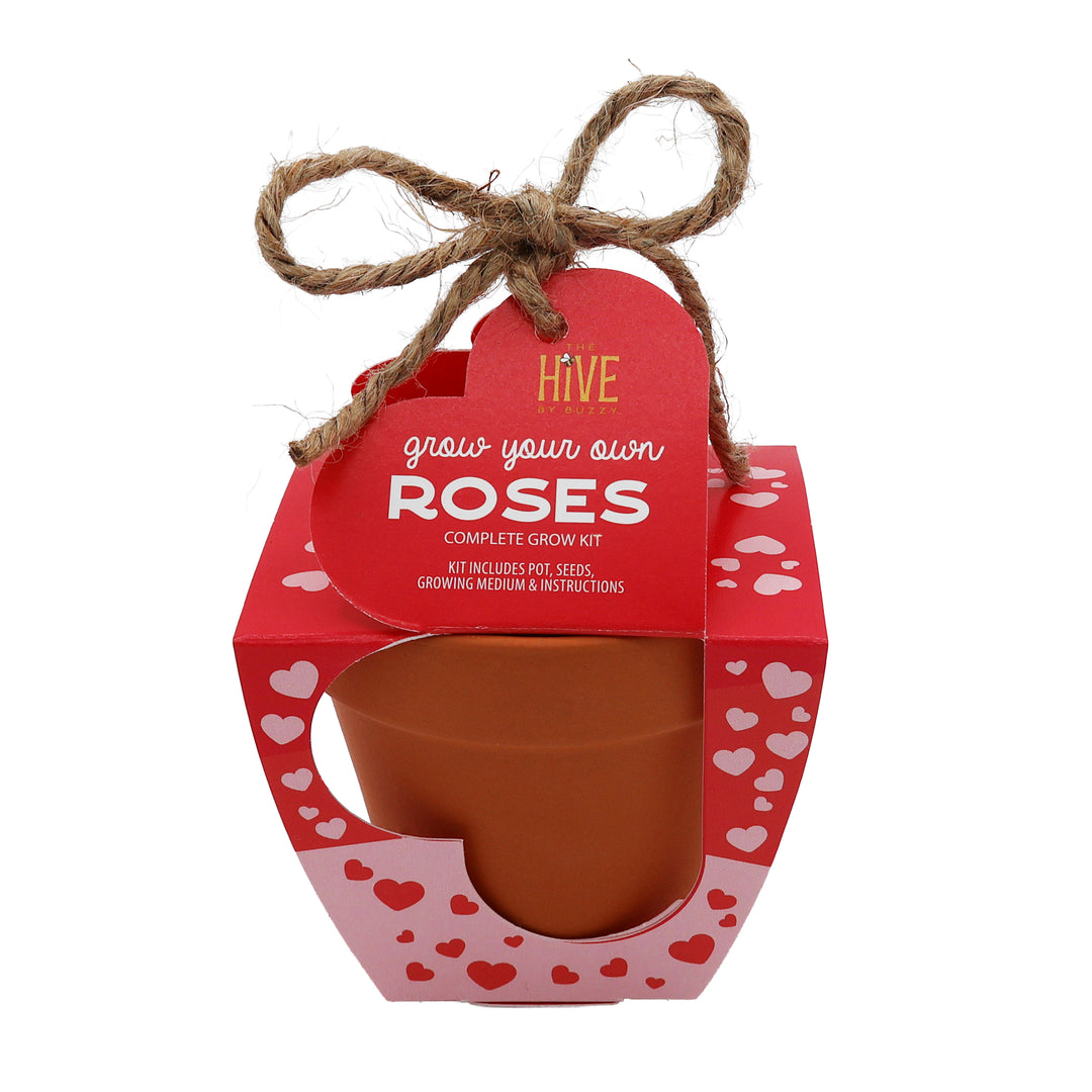 Mini Rose Heart Terracotta Grow Kit 4-Pack | Rosa chinensis 'Angel Wings'