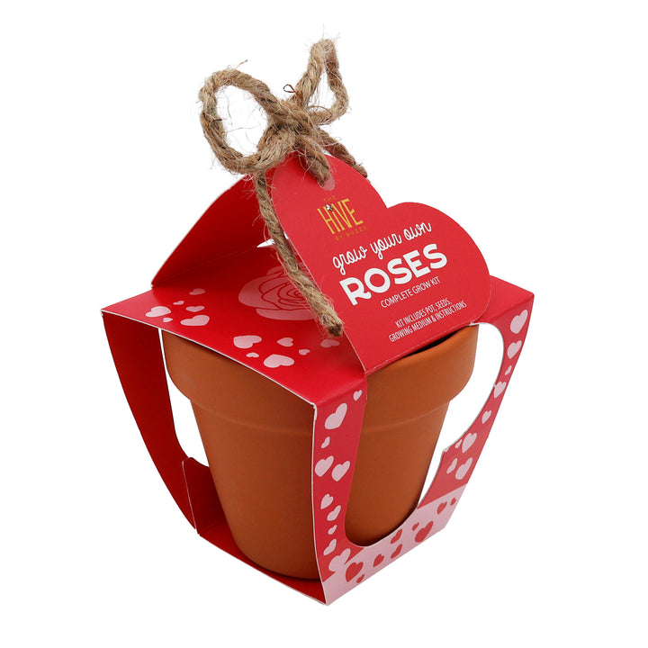 Mini Rose Heart Terracotta Grow Kit 4-Pack | Rosa chinensis 'Angel Wings'