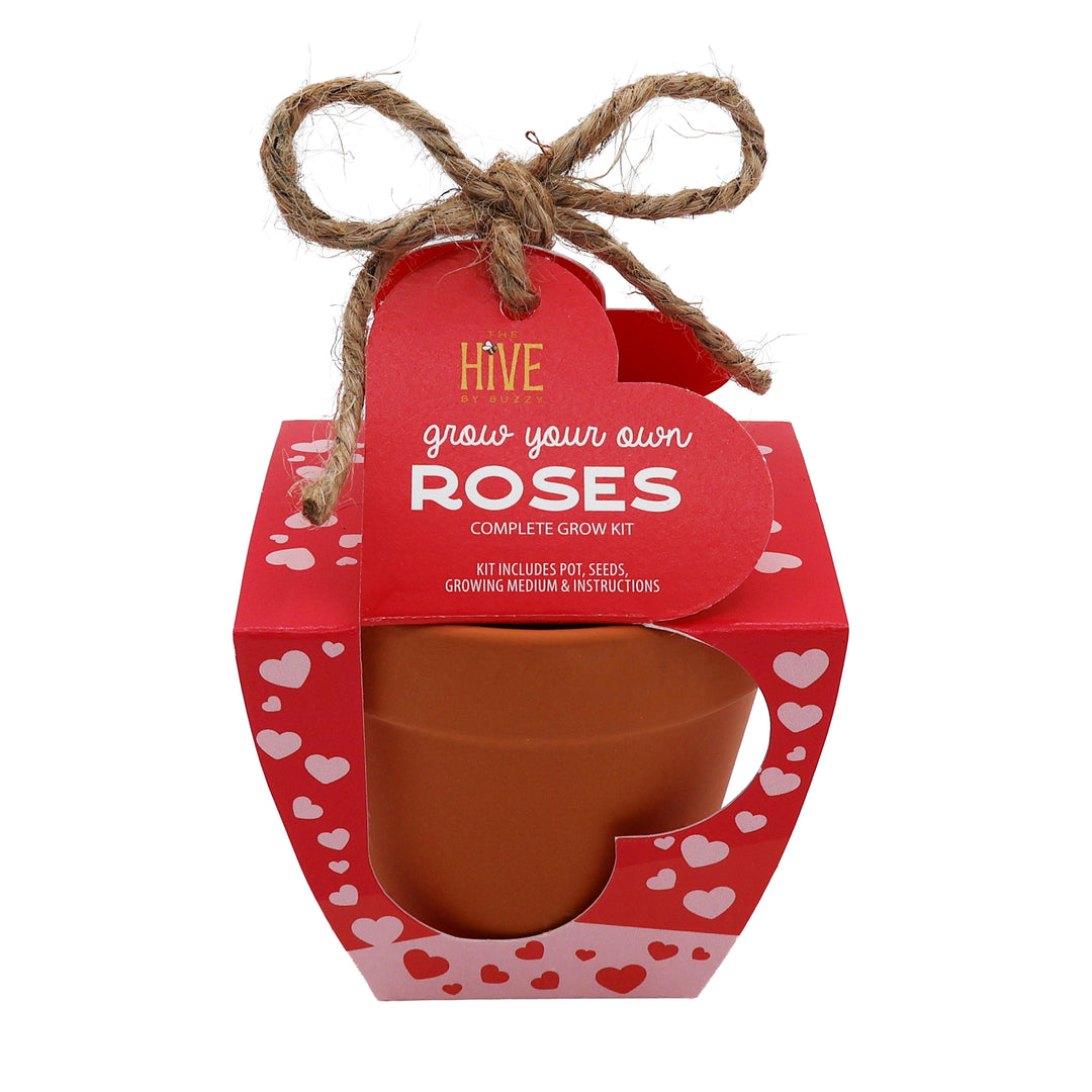 Mini Rose Heart Terracotta Grow Kit 4-Pack | Rosa chinensis 'Angel Wings'