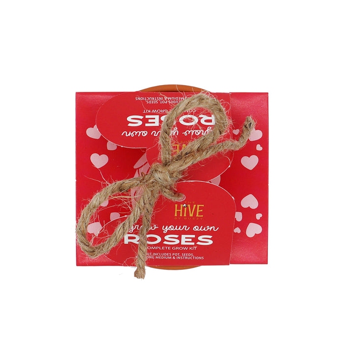 Mini Rose Heart Terracotta Grow Kit 4-Pack | Rosa chinensis 'Angel Wings'
