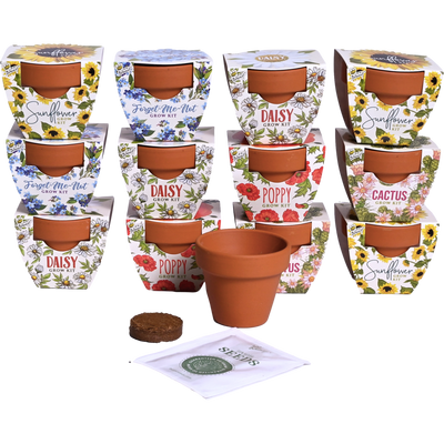 Daydream Mini Terracotta Grow Kit | Assorted 12-pack