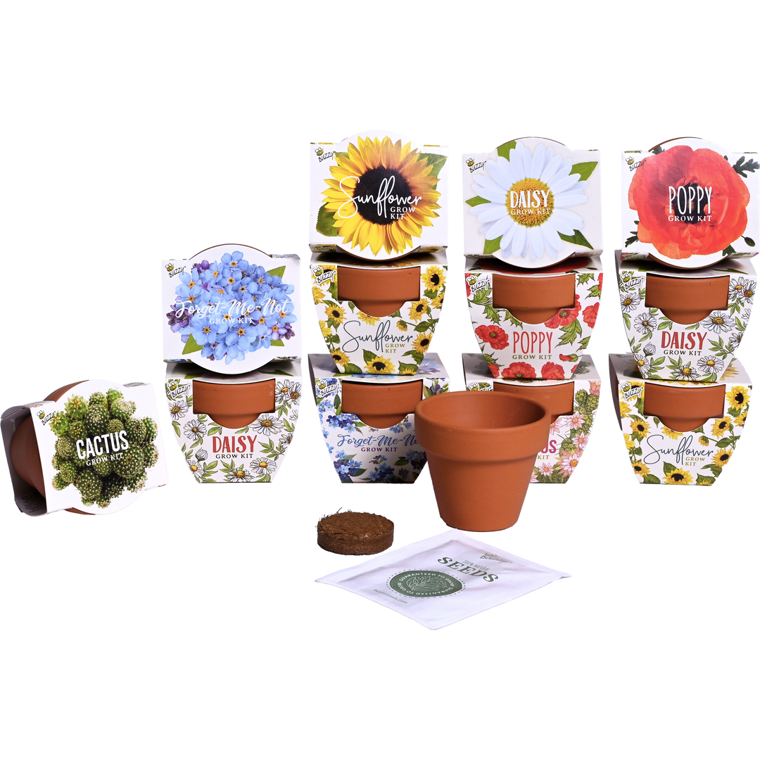 plants pots near me Mini Grow Kits for Events & Wedding Favors (12 Pack) – Buzzy Seeds
