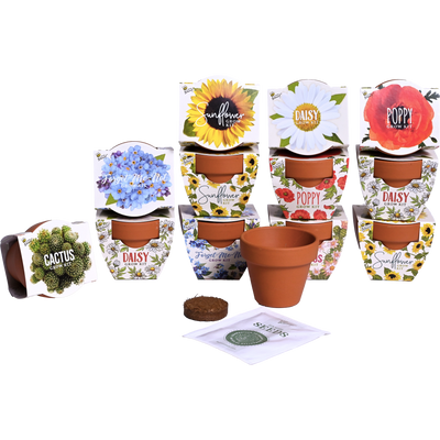 Daydream Mini Terracotta Grow Kit | Assorted 12-pack