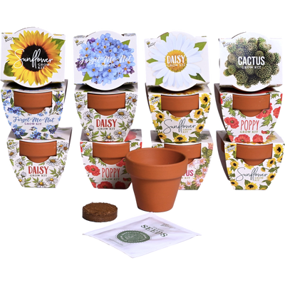 Daydream Mini Terracotta Grow Kit | Assorted 12-pack