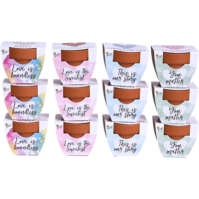 Love Mini Terracotta Grow Pots | Assorted 12-pack