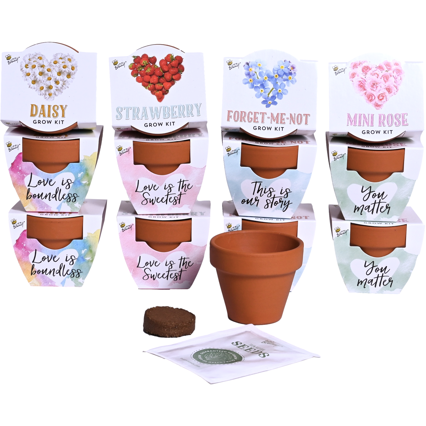 small flower pots with seeds Buzzy Seeds Mini Terracotta 12pk Indoor Garden Kit with Flower and Strawberry Seeds