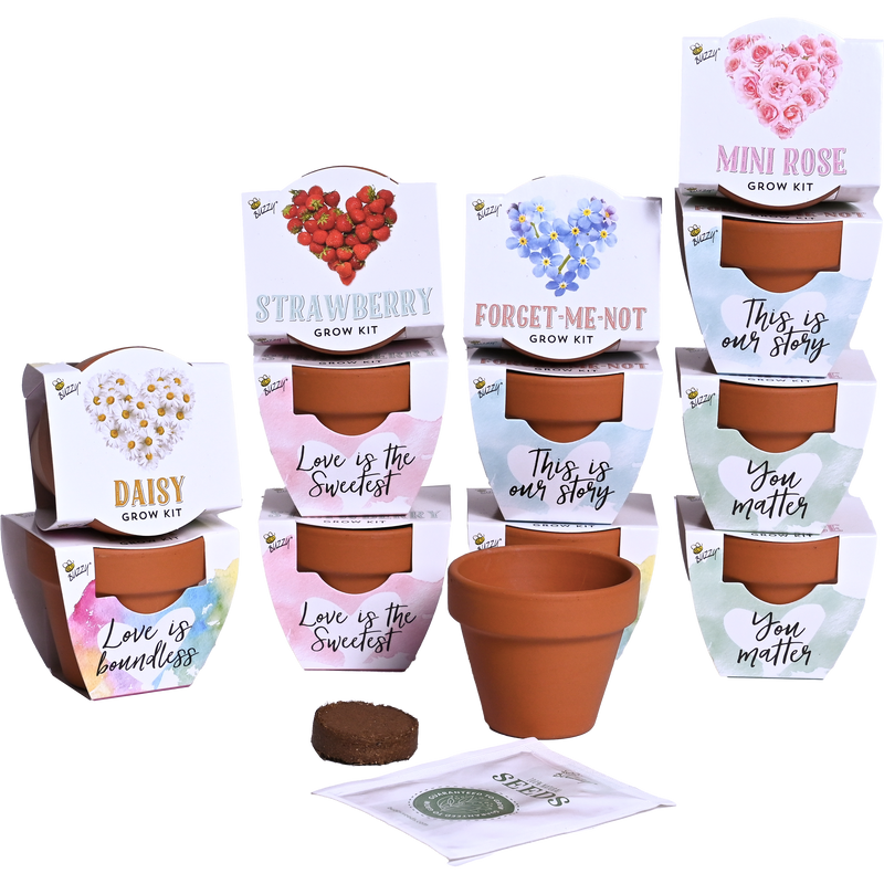 Love Mini Terracotta Grow Pots | Assorted 12-pack