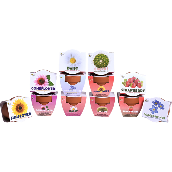 Classic Mini Terracotta Grow Pot | Assorted 12-pack