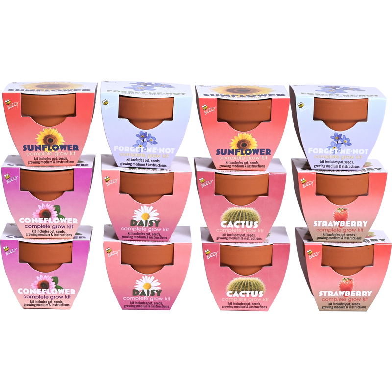 Classic Mini Terracotta Grow Kit | Assorted 12-pack