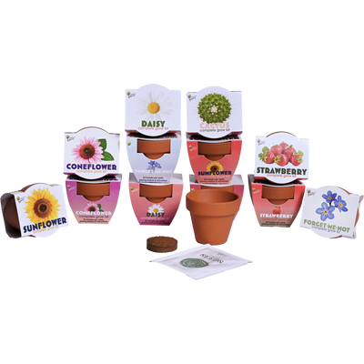 Classic Mini Terracotta Grow Kit | Assorted 12-pack