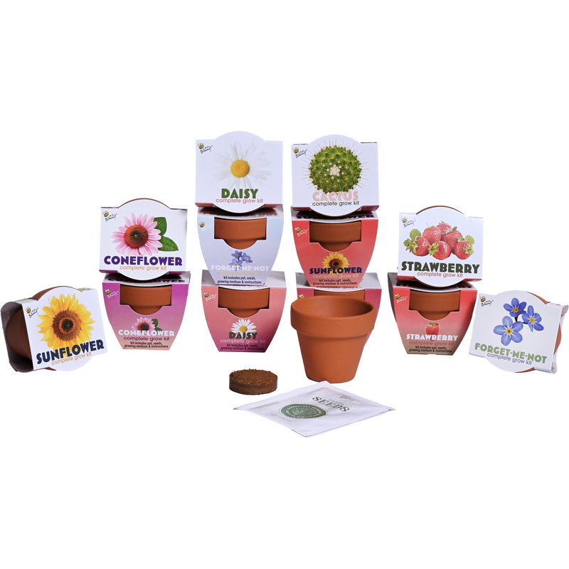 Classic Mini Terracotta Grow Kit | Assorted 12-pack