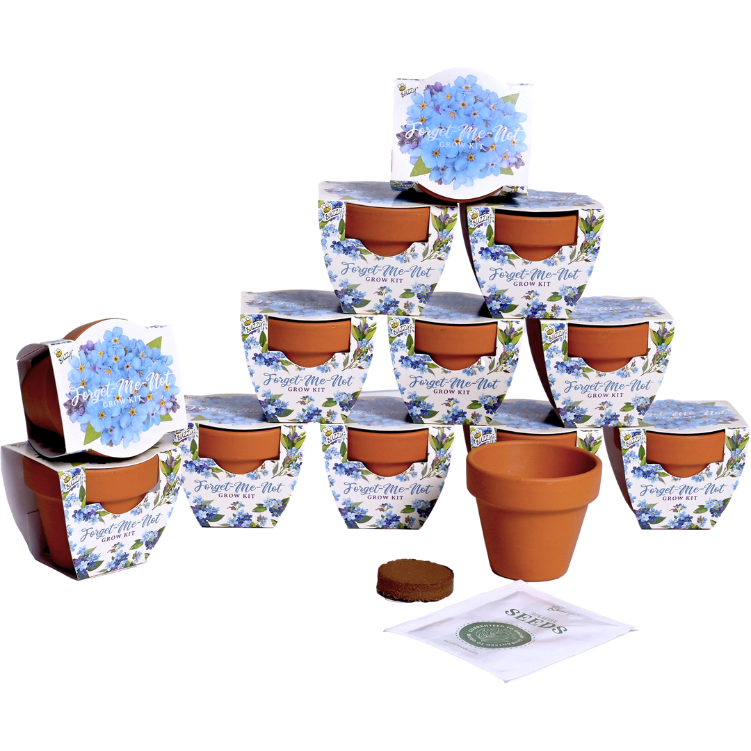 planting forget me nots seeds in pots Forget-Me-Not Grow Kits for Memorial Favors – Buzzy Seeds