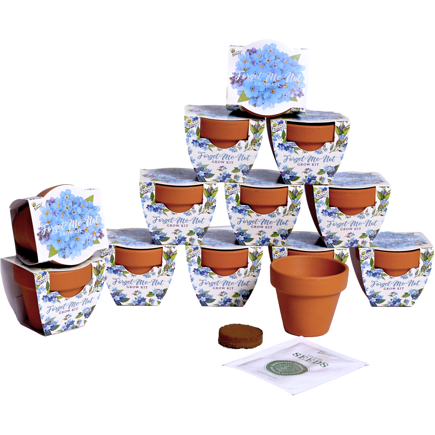 planting forget me not seeds in pots Forget-Me-Not Grow Kits for Memorial Favors – Buzzy Seeds