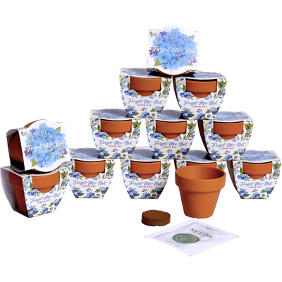 Daydream Mini Terracotta Grow Pots | Forget-Me-Not 12-pack