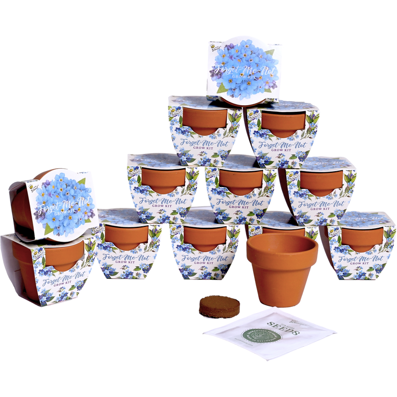 Daydream Mini Terracotta Grow Pots | Forget-Me-Not 12-pack