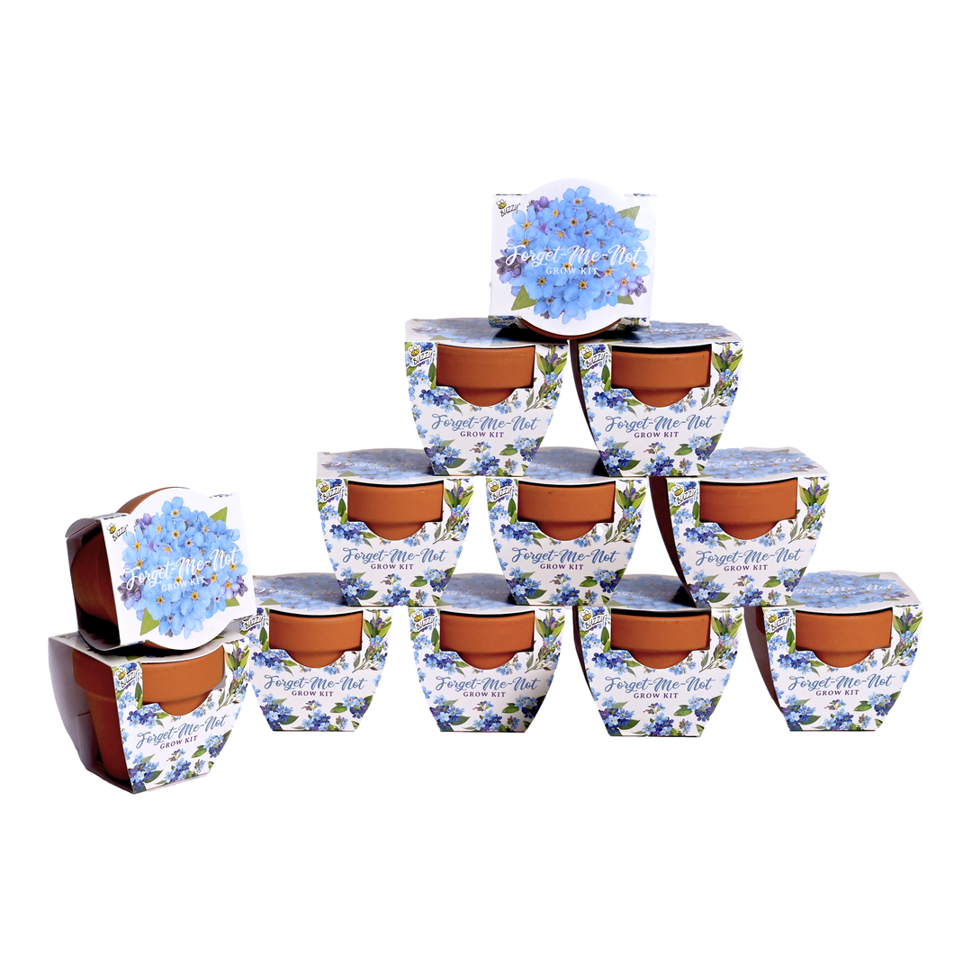 Daydream Mini Terracotta Grow Pots | Forget-Me-Not 12-pack