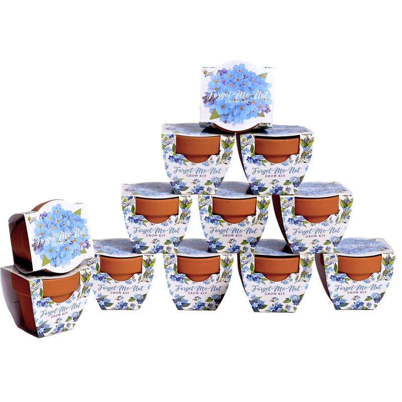 Daydream Mini Terracotta Grow Pots | Forget-Me-Not 12-pack