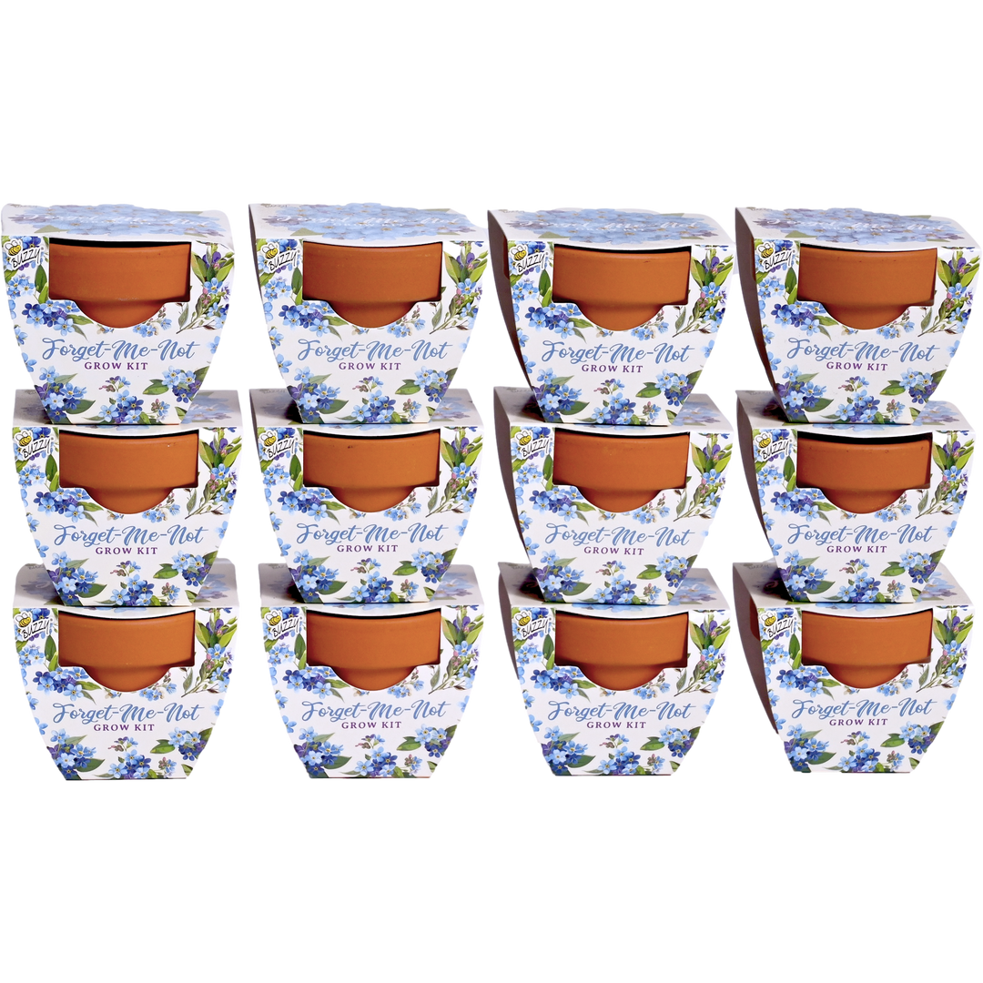 Daydream Mini Terracotta Grow Pots | Forget-Me-Not 12-pack