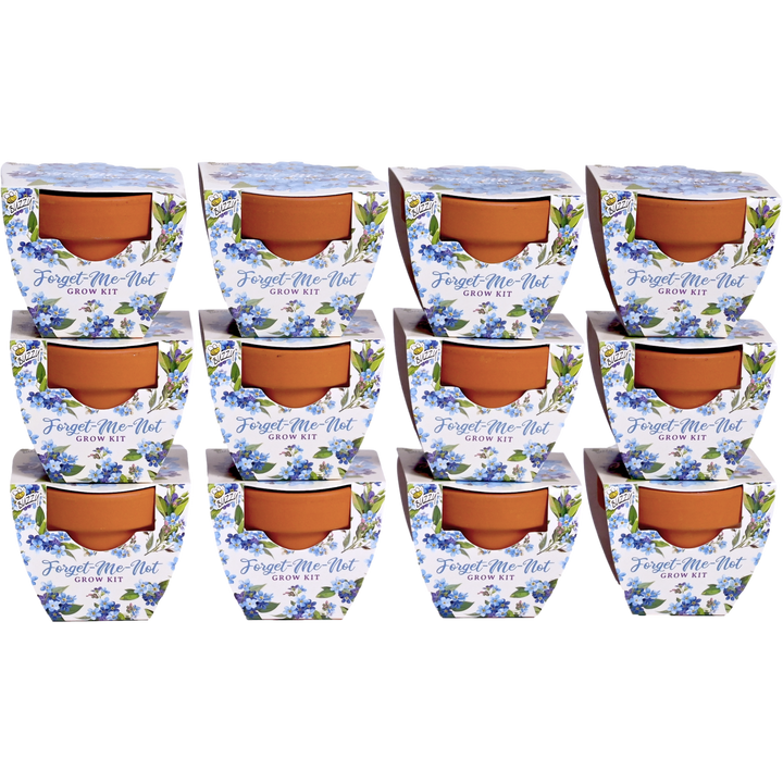 Daydream Mini Terracotta Grow Pots | Forget-Me-Not 12-pack