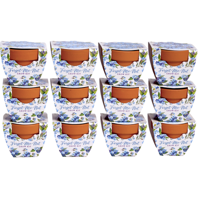 Daydream Mini Terracotta Grow Pots | Forget-Me-Not 12-pack