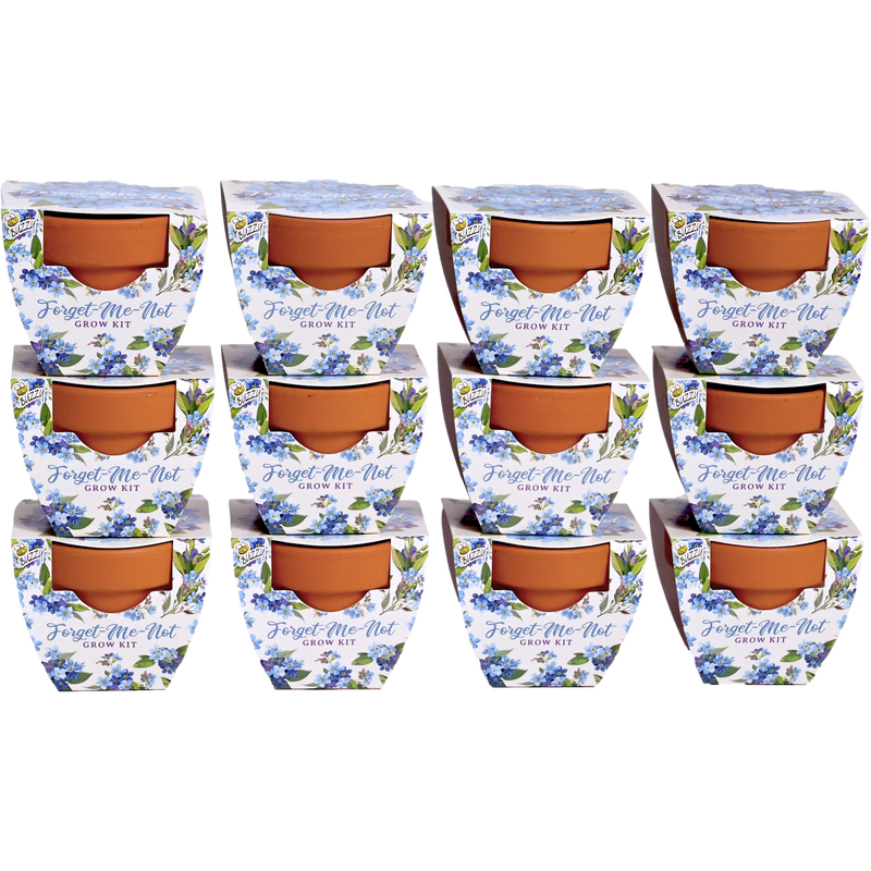 Daydream Mini Terracotta Grow Pots | Forget-Me-Not 12-pack