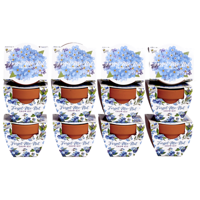 Daydream Mini Terracotta Grow Pots | Forget-Me-Not 12-pack