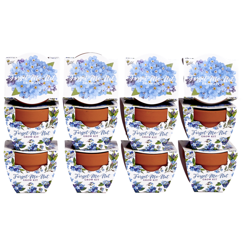 Daydream Mini Terracotta Grow Pots | Forget-Me-Not 12-pack