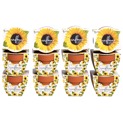 Daydream Mini Terracotta Grow Pots | Sunflower 12-pack