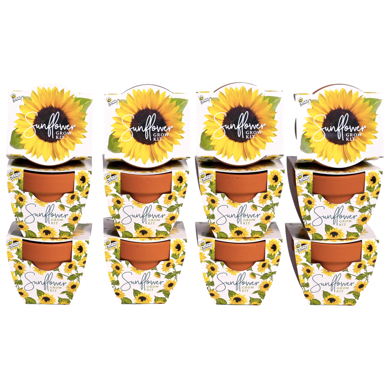 Daydream Mini Terracotta Grow Pots | Sunflower 12-pack