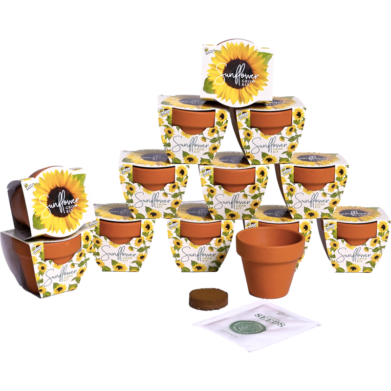 Daydream Mini Terracotta Grow Pots | Sunflower 12-pack