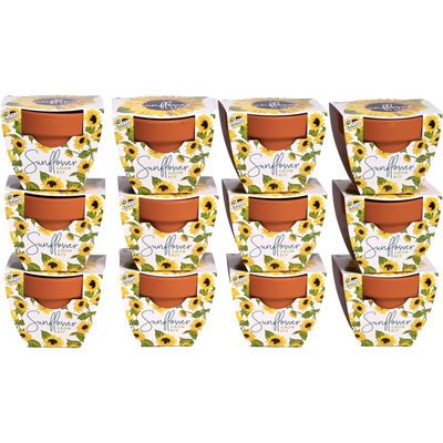 Daydream Mini Terracotta Grow Pots | Sunflower 12-pack