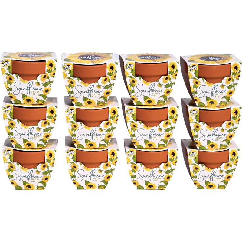 Daydream Mini Terracotta Grow Pots | Sunflower 12-pack