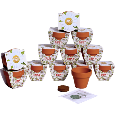 Daydream Mini Terracotta Grow Pots | Daisy 12-pack