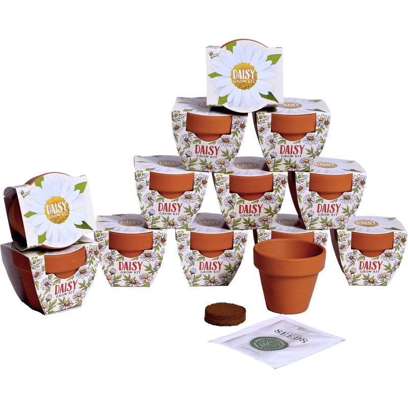 Daydream Mini Terracotta Grow Pots | Daisy 12-pack