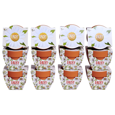 Daydream Mini Terracotta Grow Pots | Daisy 12-pack