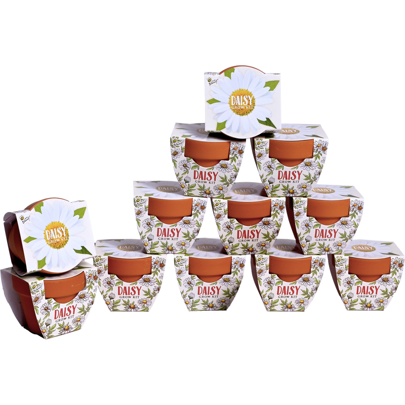 Daydream Mini Terracotta Grow Pots | Daisy 12-pack