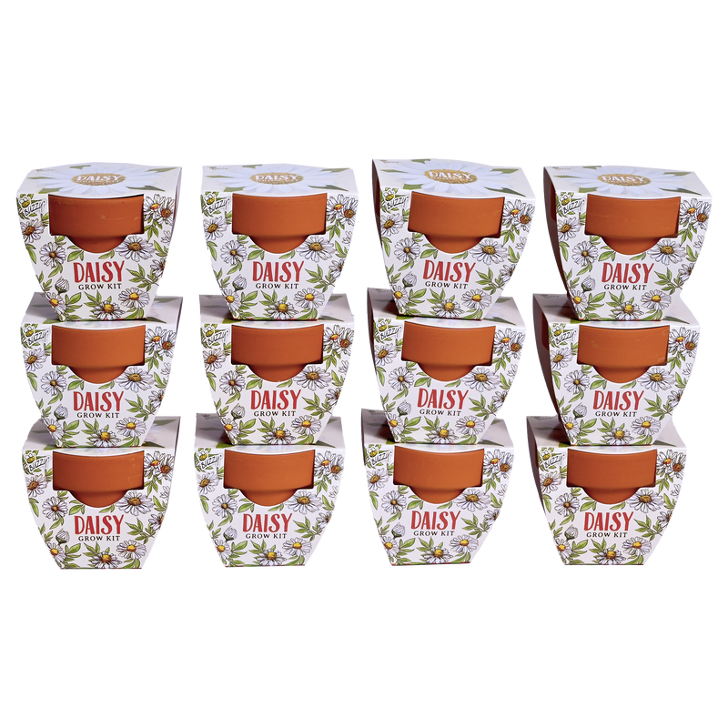 Daydream Mini Terracotta Grow Pots | Daisy 12-pack