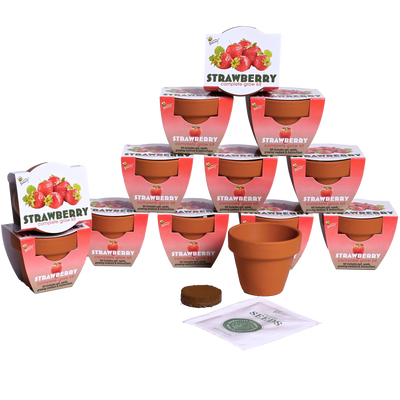 Classic Mini Terracotta Grow Kit | Strawberry 12-pack